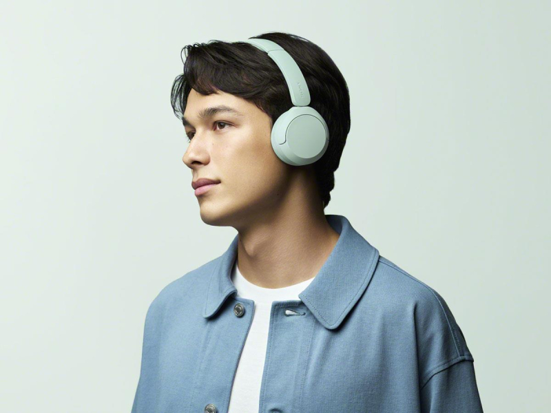 Sony WH-CH530 BT AI EQ-10