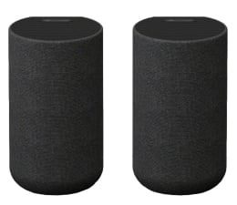 Kolumna stereo Sony SA-RS5