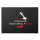 Seagate 240GB 2,5" SATA SSD IronWolf Pro 125 - 588846 - zdjęcie