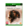 Gra na Xbox One Xbox The Dark Pictures - House of Ashes