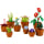 LEGO Icons 10329 Małe roślinki - 1202090 - zdjęcie 3