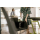 Karcher VC 6 Cordless Premium ourFamily - 1212305 - zdjęcie 4