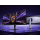 Xiaomi Curved Gaming Monitor G34WQi 2026 - 1540806 - zdjęcie 2