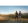 Hypershell X MAX S 1000W czarny - 1551139 - zdjęcie 11