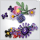 LEGO BOTANICALS 11507 Bukiet kwiatów Olivii Rodrigo - 1547387 - zdjęcie 9