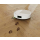 iRobot Roomba Plus 415 Combo Biały - 1568716 - zdjęcie 8
