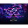 ASUS ROG Strix OLED XG27ACDMS - 1591774 - zdjęcie 8