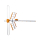 OPTICUM DVB-T GALAXY COMBO zew - 1591645 - zdjęcie
