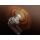realme Buds T500 Pro Harry Potter Edition - 1589905 - zdjęcie 6