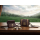 realme Buds T500 Pro Harry Potter Edition - 1589905 - zdjęcie 5