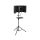 Mikrofon MusicMate Mikrofon z ekranem akustycznym MM-450 StudioMaster PRO