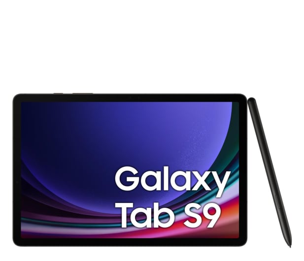 Samsung Galaxy Tab S9 11" 8/128GB, 5G, S Pen, szary - 1158885 - zdjęcie 4