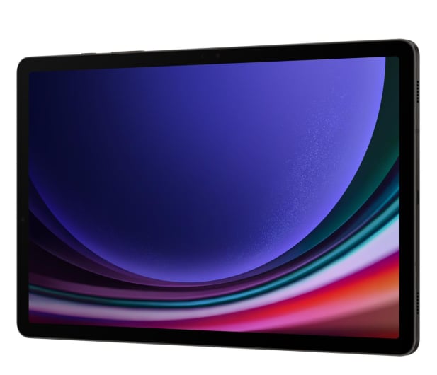 Samsung Galaxy Tab S9 11" 12/256GB, WiFi, S Pen, szary - 1158883 - zdjęcie 8