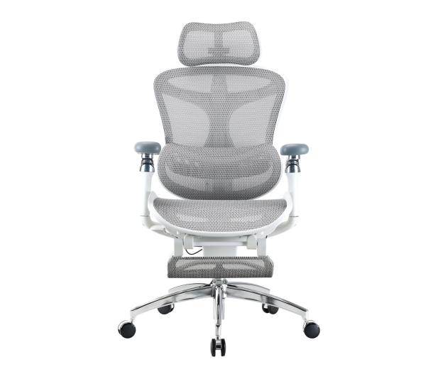 Sihoo DORO C300 Pro Mesh biały - 1542249 - zdjęcie