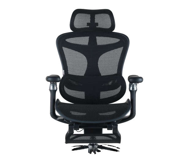 Sihoo DORO C300 Pro Mesh czarny - 1542248 - zdjęcie