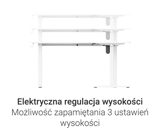 Silver Monkey Biurko elektryczne ECD-300 white - 1258048 - zdjęcie 5