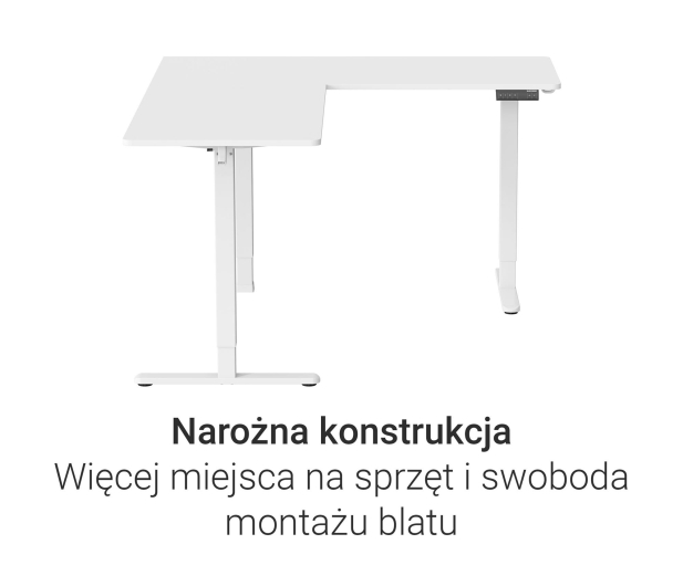 Silver Monkey Biurko elektryczne ECD-300 white - 1258048 - zdjęcie 8