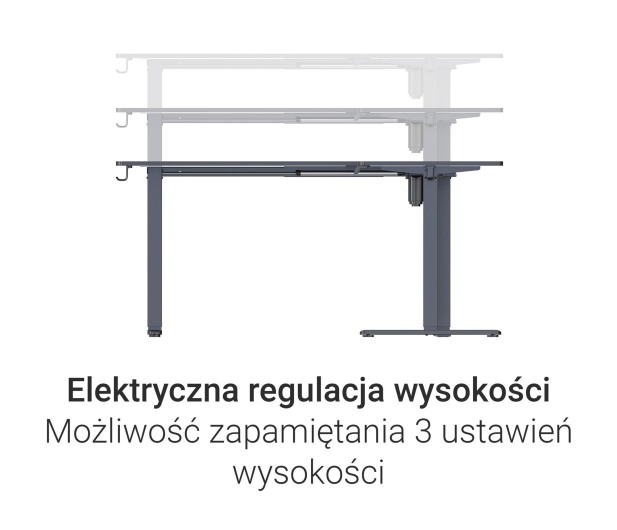 Silver Monkey Biurko elektryczne ECD-300 black - 1258051 - zdjęcie 5