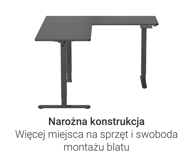 Silver Monkey Biurko elektryczne ECD-300 black - 1258051 - zdjęcie 8