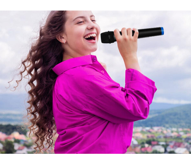 MusicMate Bezprzewodowy zestaw mikrofonowy MusicMate HPG-99 - 1588509 - zdjęcie 10