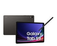 Samsung Galaxy Tab S9 11" 8/128GB, 5G, S Pen, szary - 1158885 - zdjęcie 2
