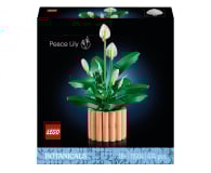 LEGO BOTANICALS 11504 Skrzydłokwiat - 1473410 - zdjęcie 1