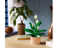 LEGO BOTANICALS 11504 Skrzydłokwiat - 1473410 - zdjęcie 9