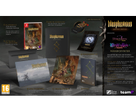 Switch Blasphemous: Martyr's Limited Edition - 1581099 - zdjęcie 3