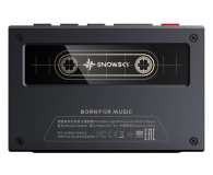 FiiO FiiO SNOWSKY ECHO black - Przenośny odtwarzacz Hi-Res - 1583269 - zdjęcie 3