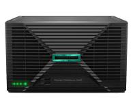 Serwer HPE ProLiant MicroServer Gen11 6325P/32GB/4TB+4TB HDD