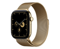 Apple 46mm Radiant Gold Milanese Loop - M/L - 1594146 - zdjęcie 2