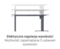 Silver Monkey Biurko elektryczne ECD-300 black - 1258051 - zdjęcie 5
