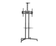 Uchwyt do telewizora Techly Stojak mobilny do TV 37-70cali, 50kg, 2 półki