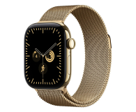 Apple 42mm Radiant Gold Milanese Loop - 1594141 - zdjęcie 2