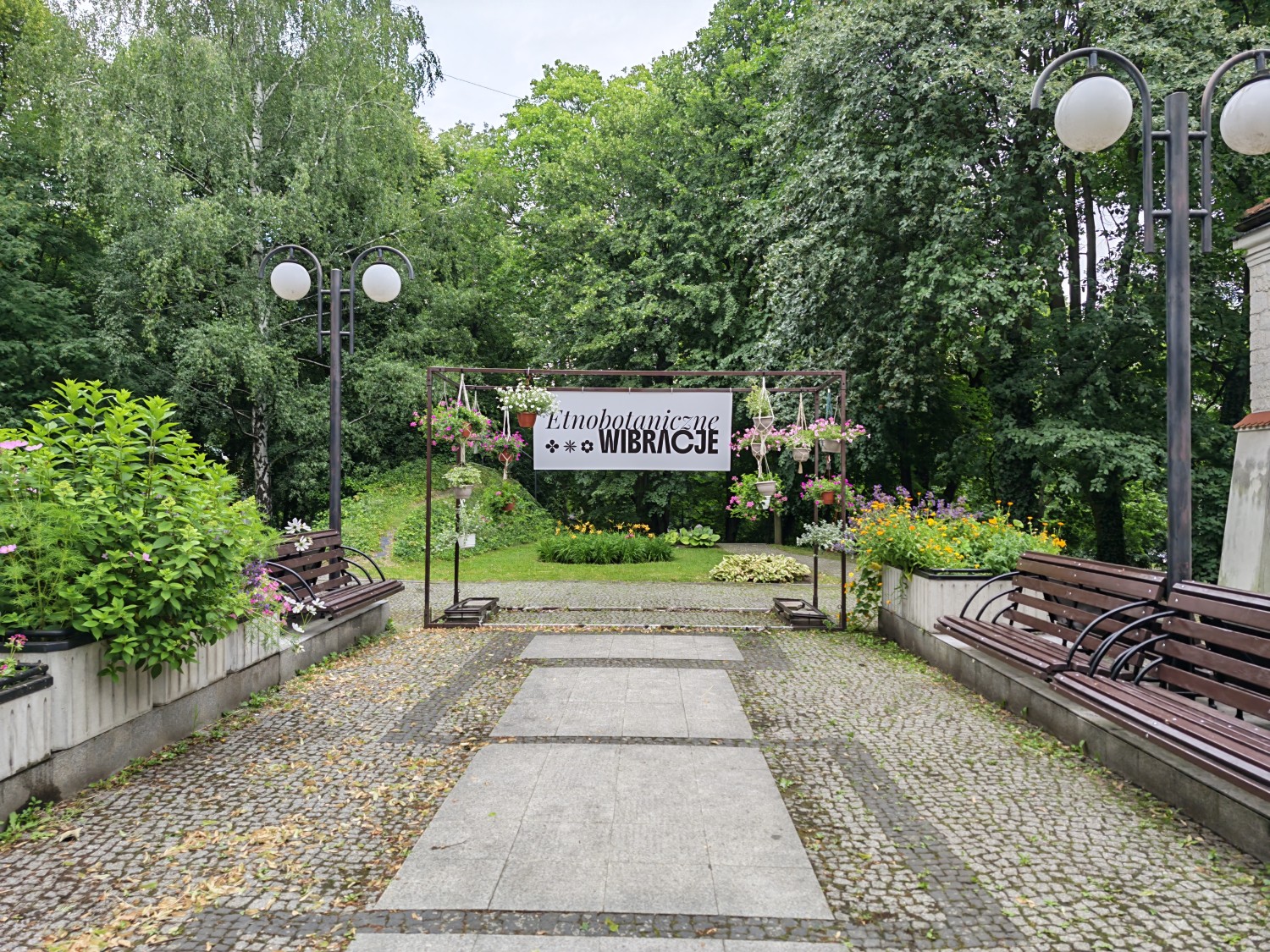 Zdjęcie zieleni z aparatu głównego HONOR Magic8 Pro
