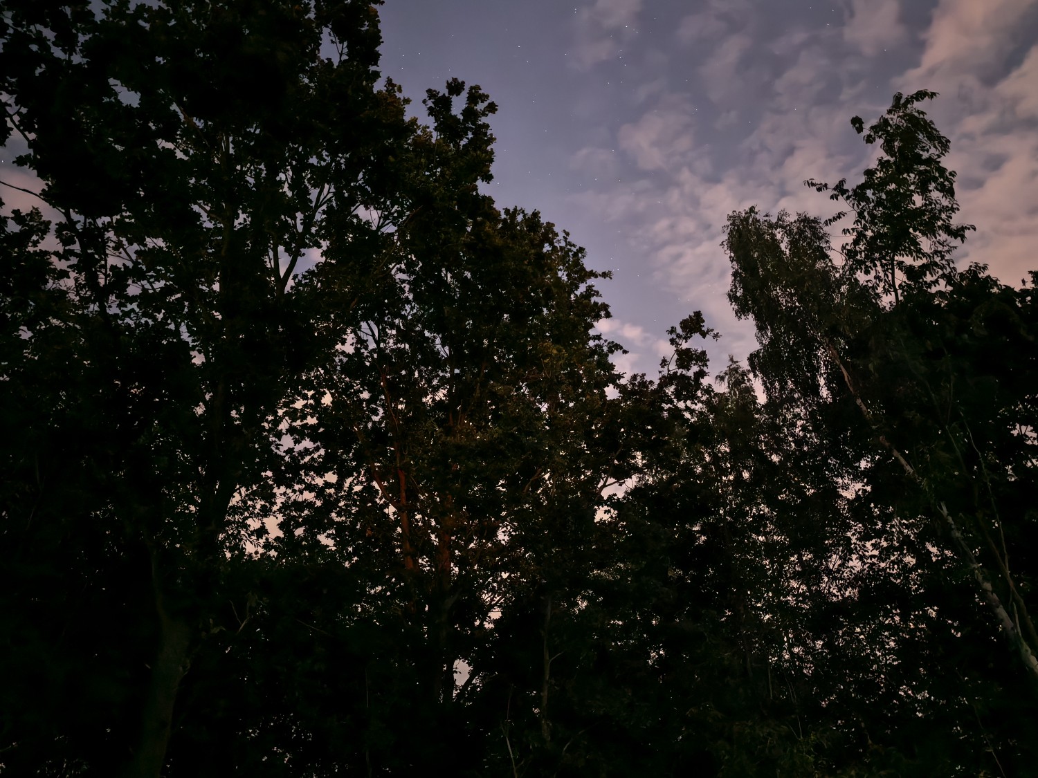 Automatyczne zdjęcie nocne z Huawei Pura 80 Pro