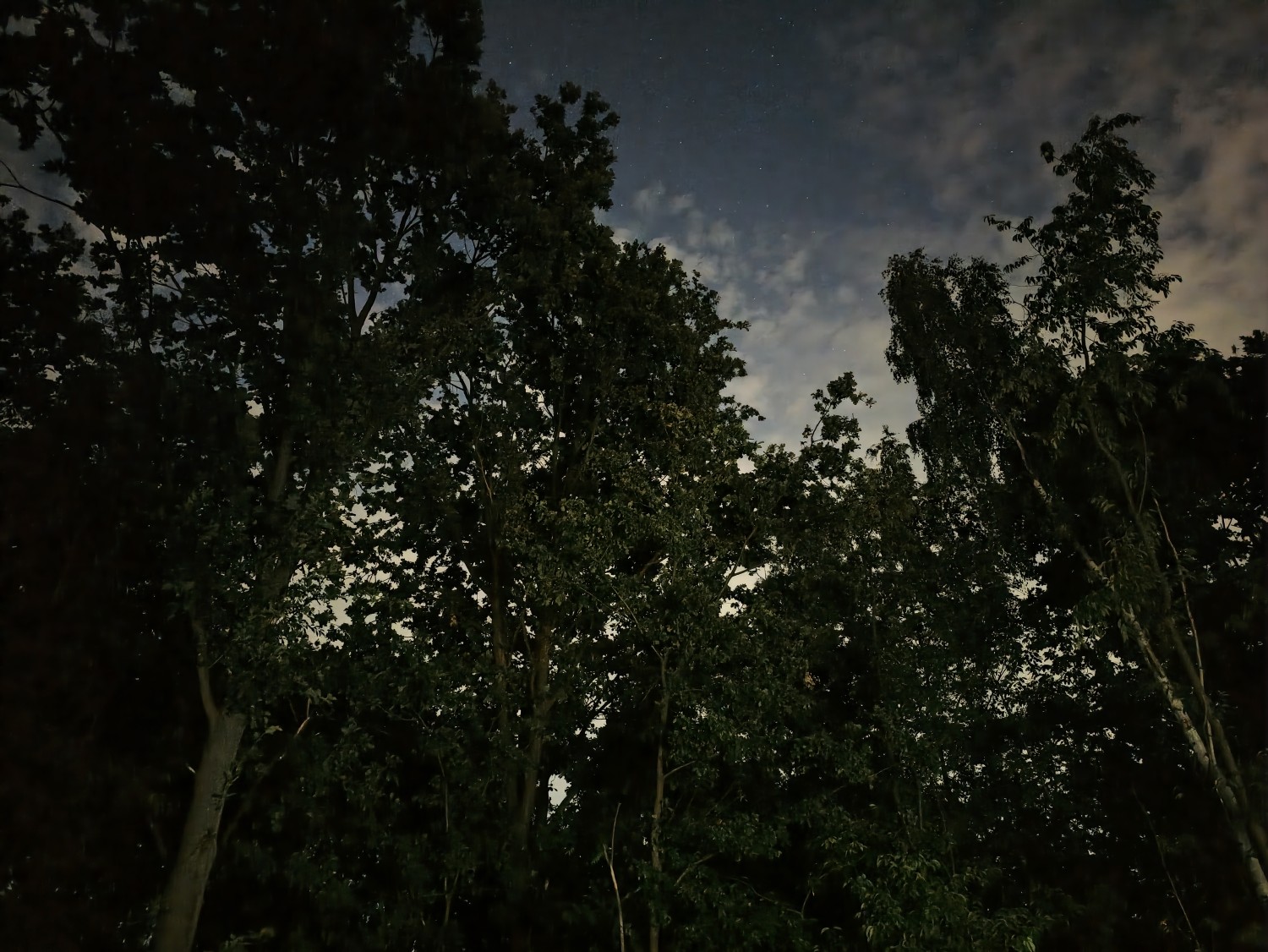 Automatyczne zdjęcie nocne z OPPO Find X9 Ultra