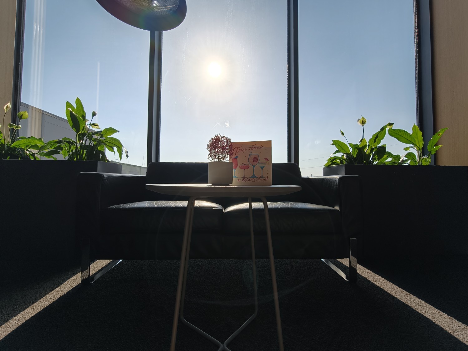 Zdjęcie HDR z aparatu ultraszerokokątnego OPPO Find X9