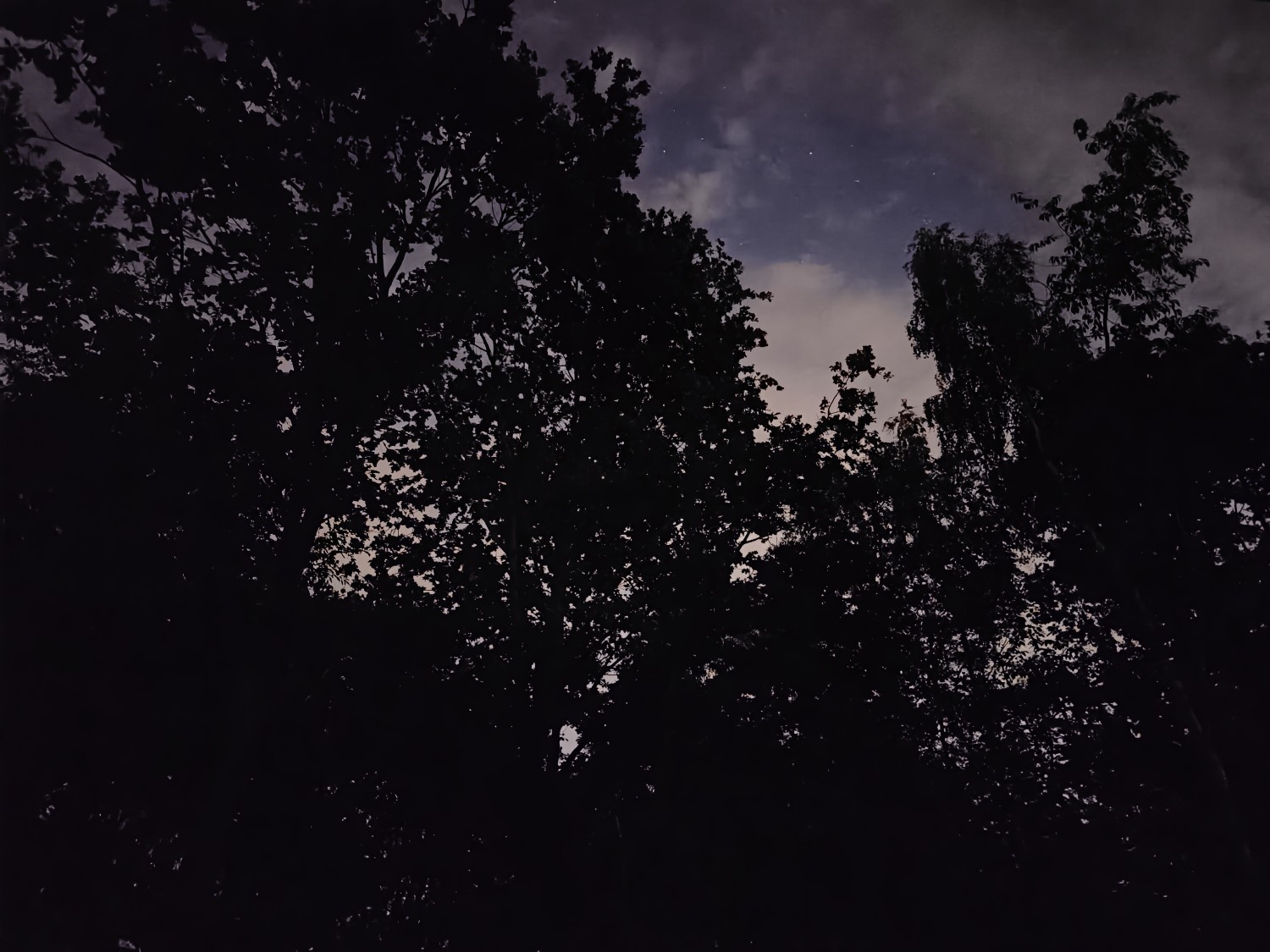Automatyczne zdjęcie nocne z OPPO Find X9