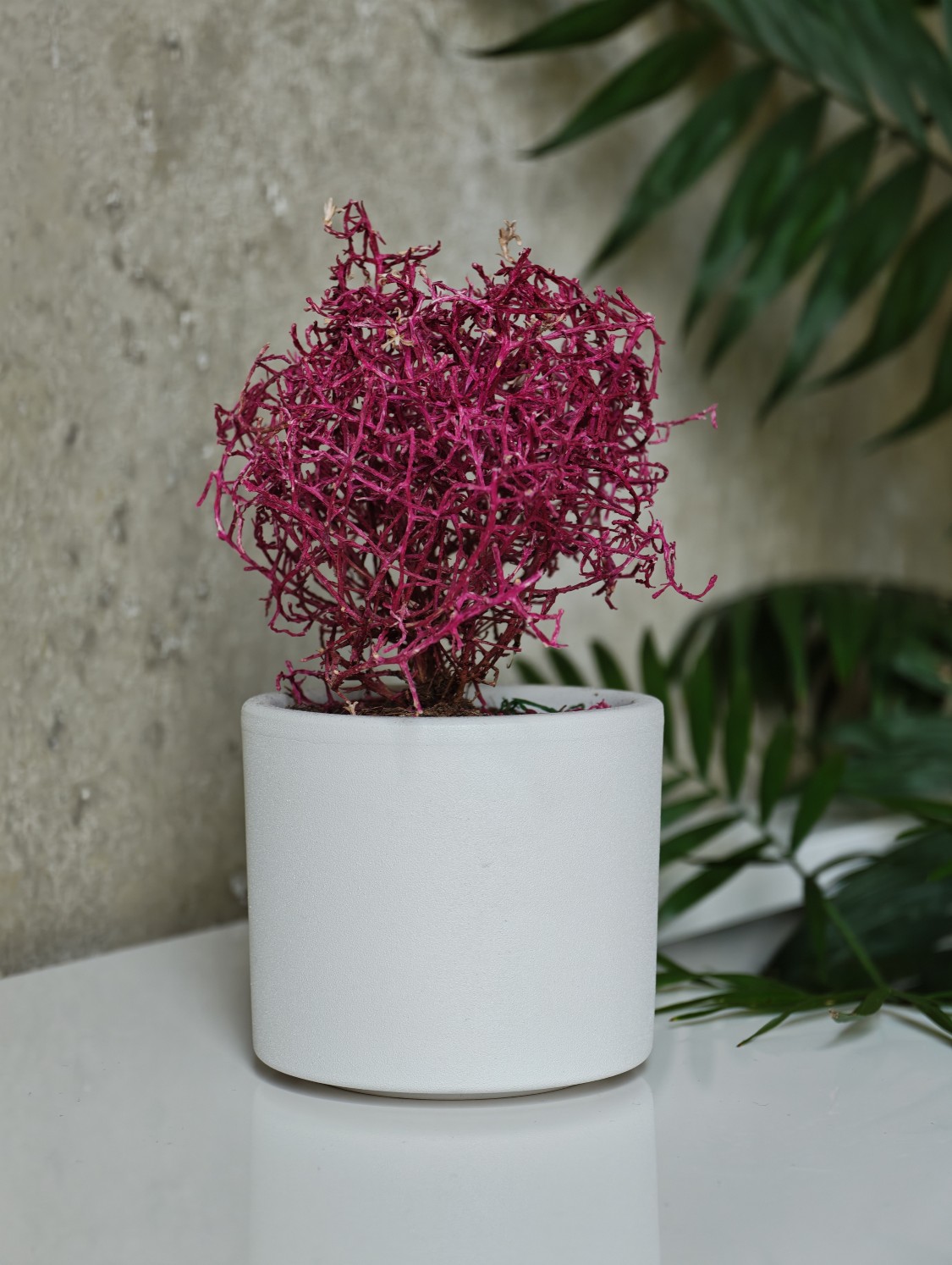 Zdjęcie produktowe wykonane Xiaomi 17 Ultra przy ogniskowej 75 mm